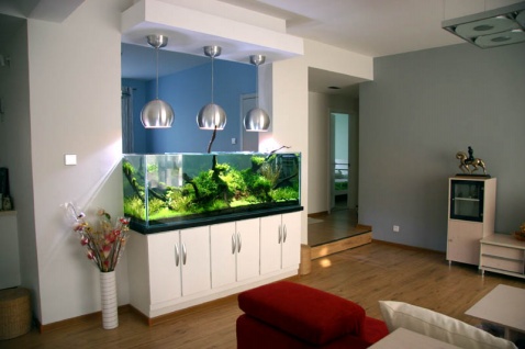 办公室的鱼缸摆放风水