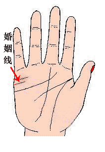 金屋藏娇者的手相特征